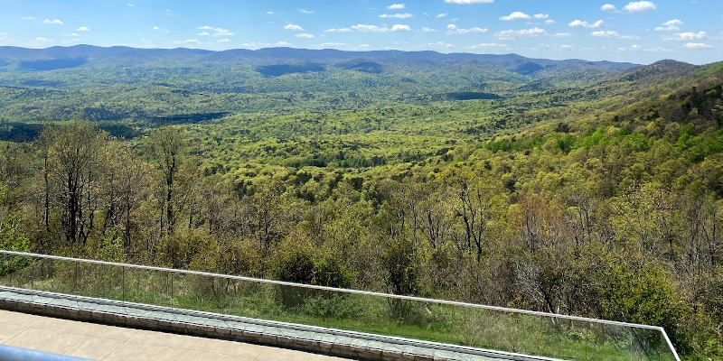 View from Amicalola Falls Lodge.